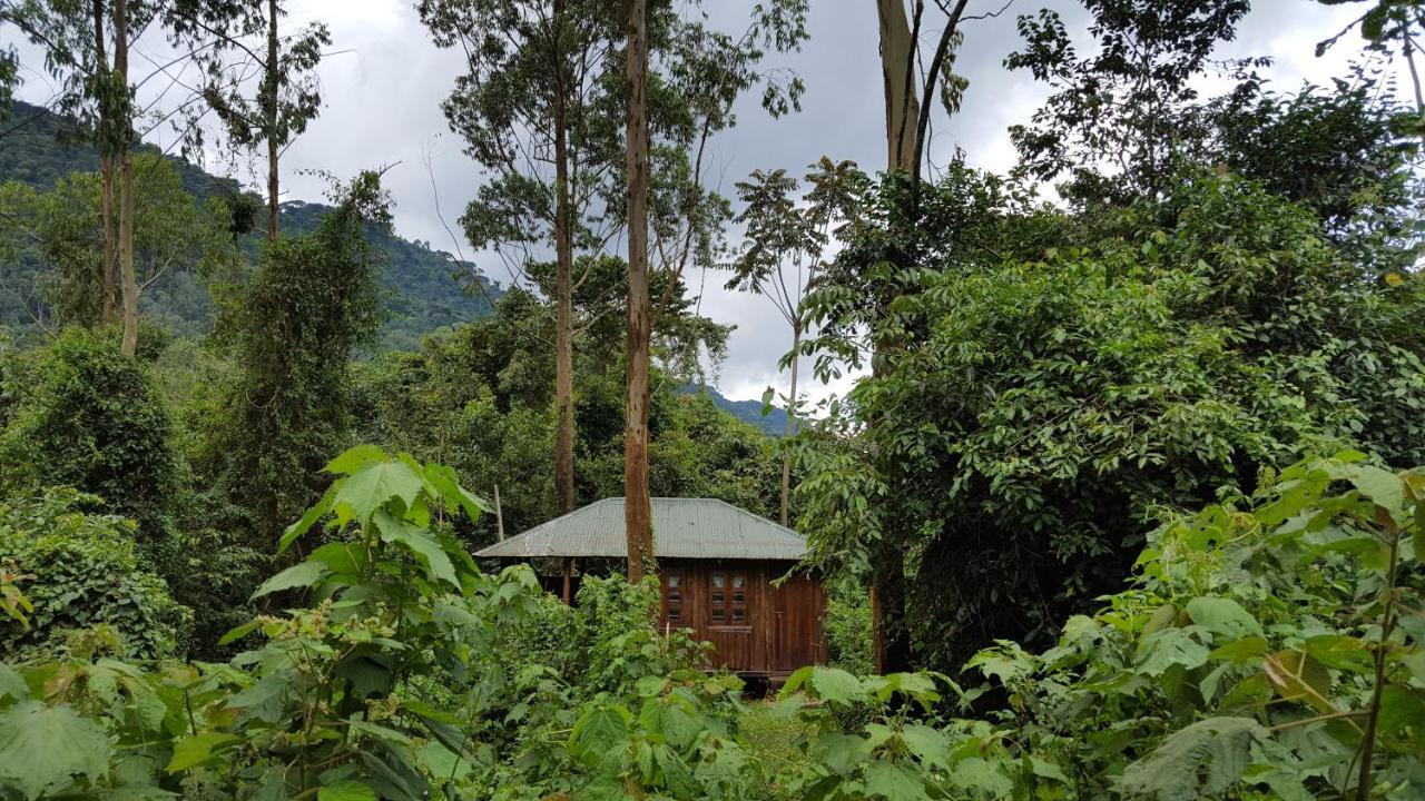 Bwindi Guest House Kanungu Εξωτερικό φωτογραφία