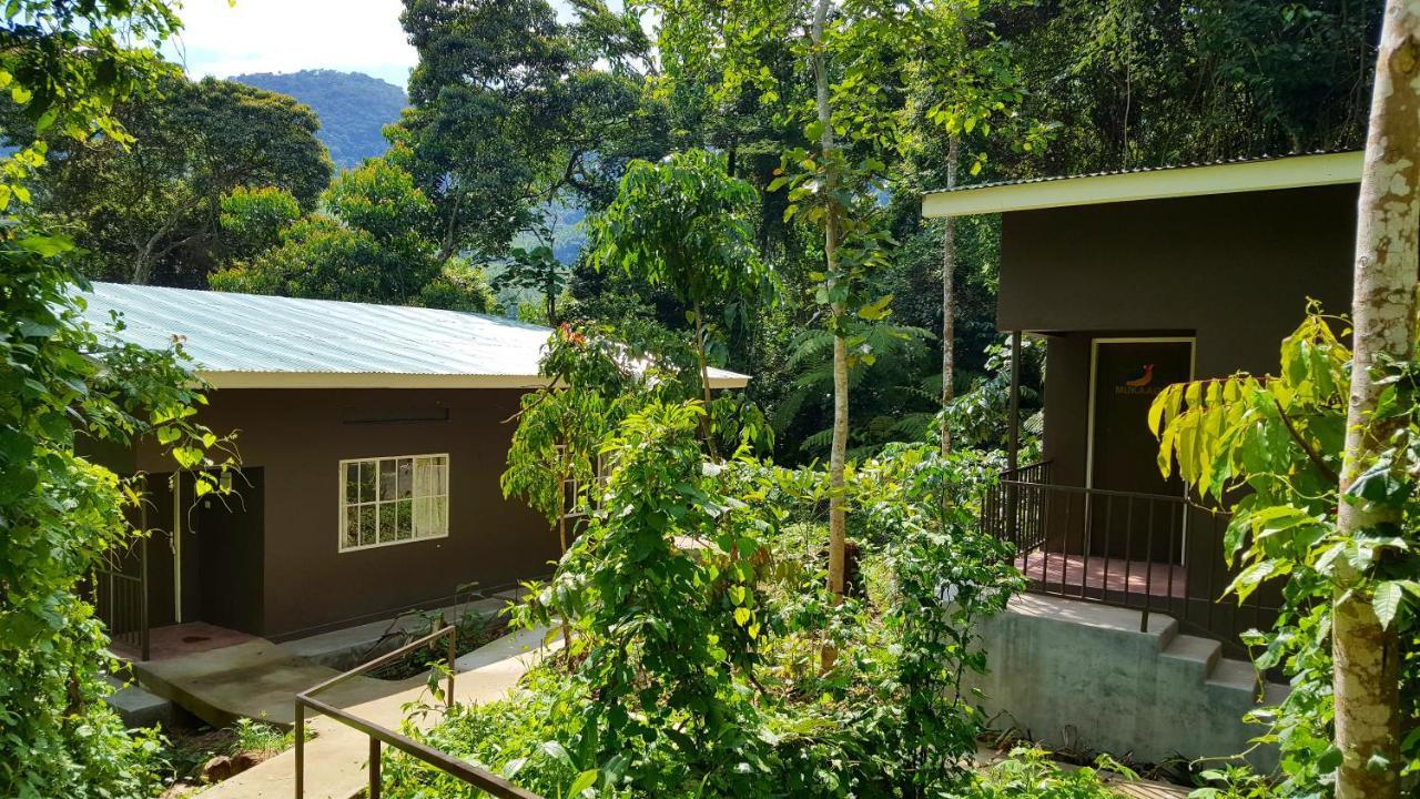 Bwindi Guest House Kanungu Εξωτερικό φωτογραφία