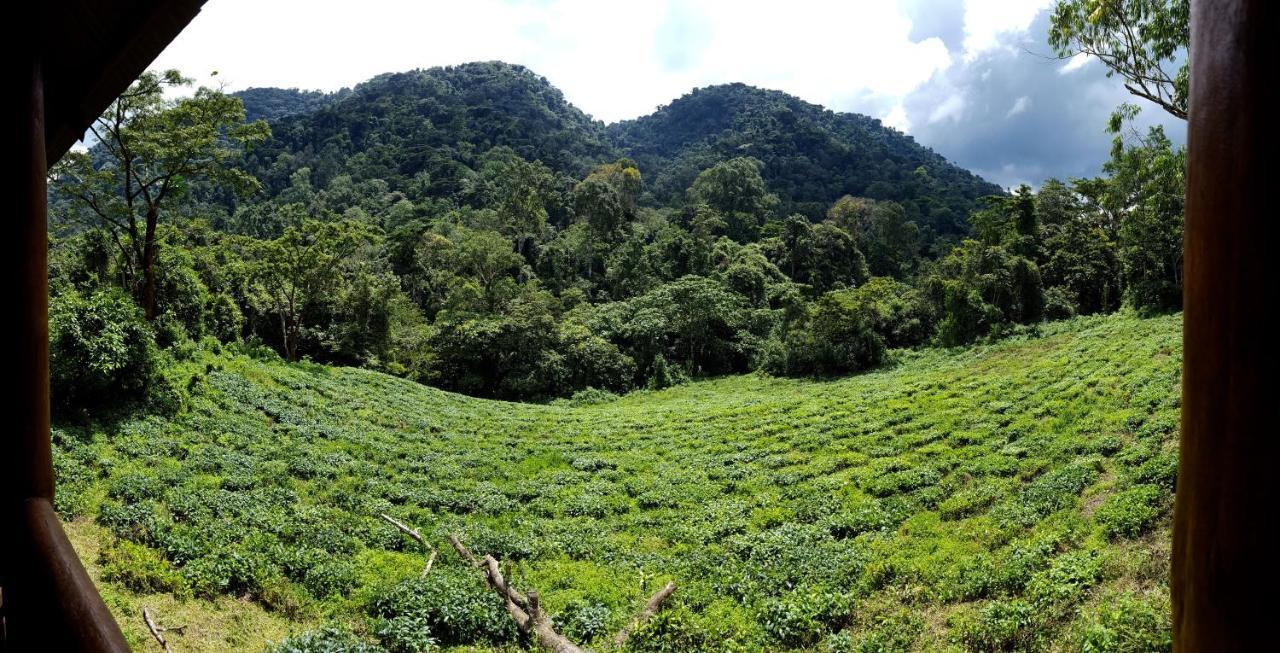 Bwindi Guest House Kanungu Εξωτερικό φωτογραφία